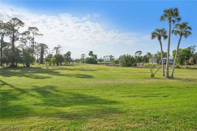 surrounding community featuring a yard