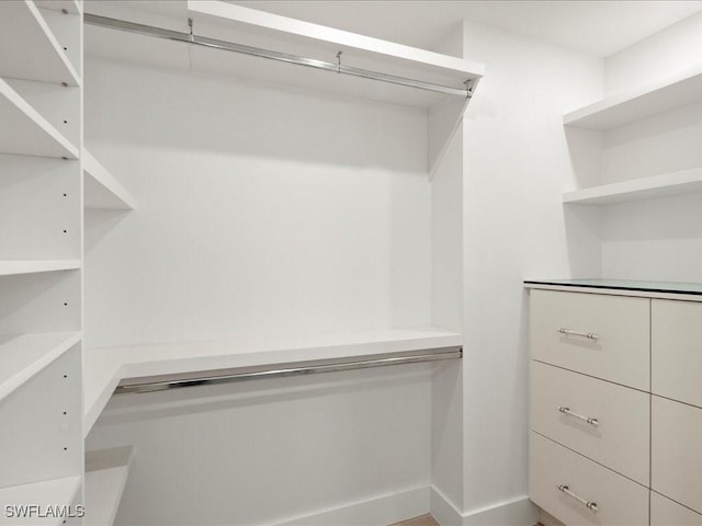 view of spacious closet