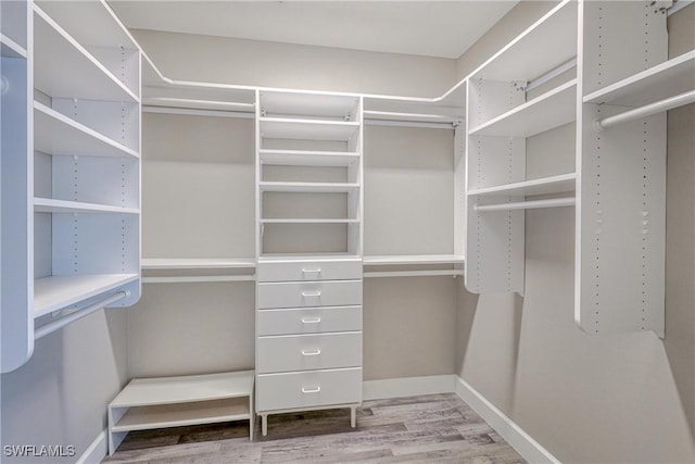 spacious closet with hardwood / wood-style flooring