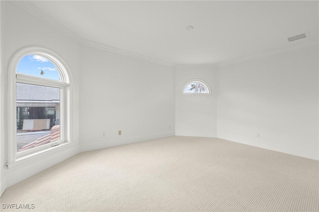 carpeted empty room with ornamental molding