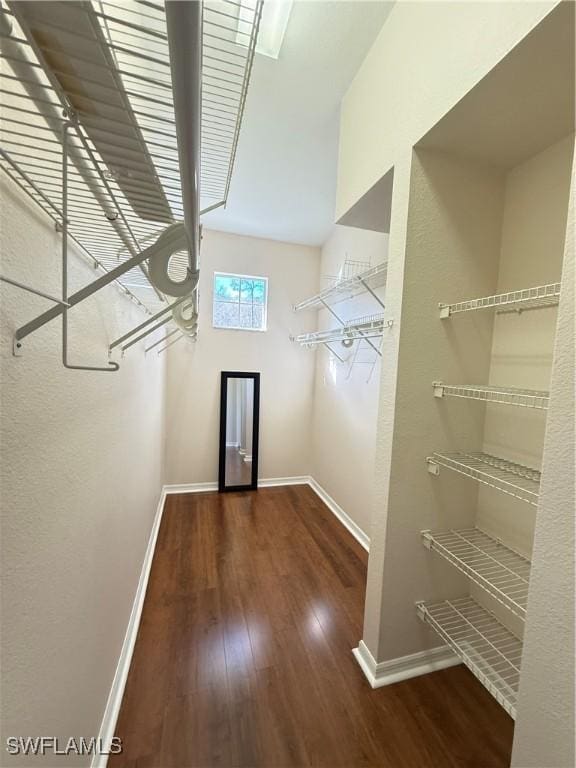 spacious closet with dark hardwood / wood-style floors