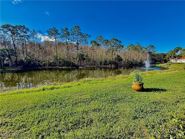 view of yard with a water view