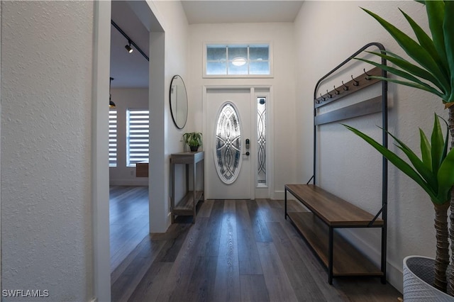 foyer entrance featuring rail lighting and dark hardwood / wood-style flooring