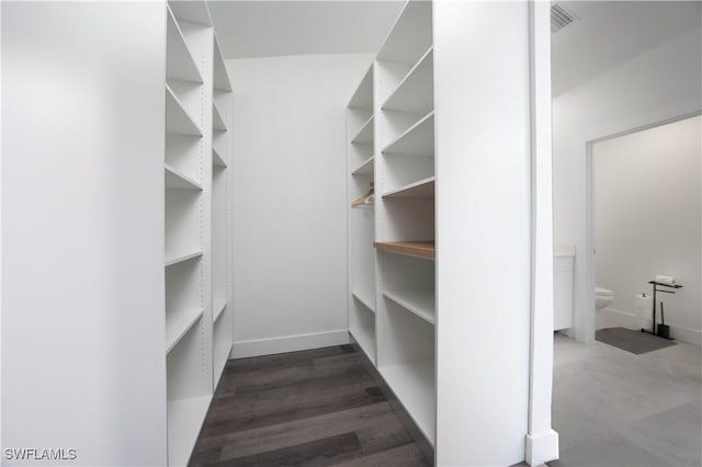 spacious closet featuring dark wood-type flooring