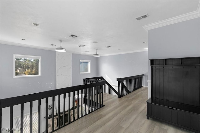 hallway featuring crown molding, light hardwood / wood-style flooring, and a wealth of natural light