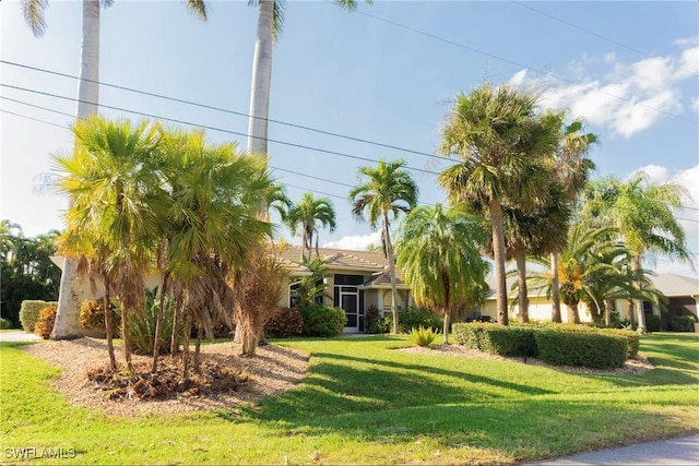 view of front facade with a front lawn