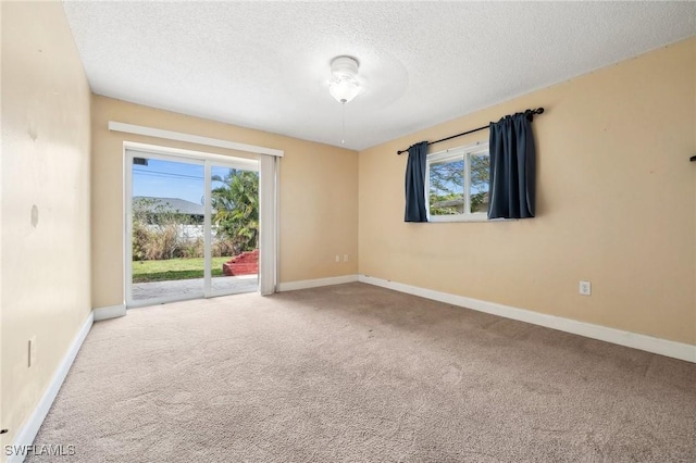 carpeted empty room with a textured ceiling, baseboards, and a wealth of natural light