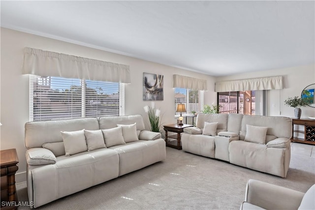 living room featuring carpet flooring