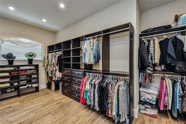 spacious closet featuring hardwood / wood-style flooring