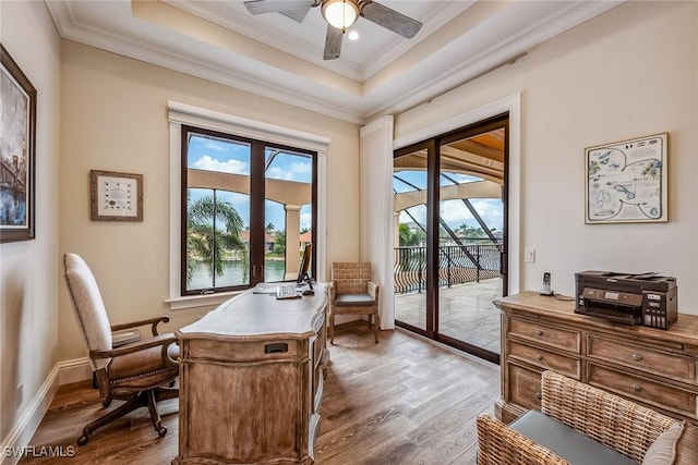 home office with ornamental molding, plenty of natural light, light hardwood / wood-style floors, and a raised ceiling