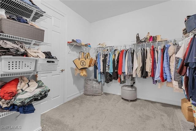 walk in closet featuring carpet floors