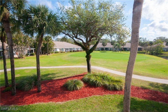 view of community featuring a yard