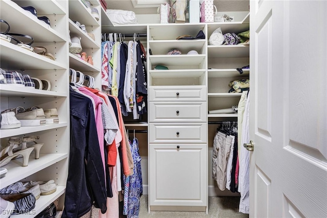 view of spacious closet