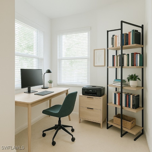 800 S Golf Dr Unit N205, Naples, FL 34102 - office with light colored carpet, baseboards, and plenty of natural light