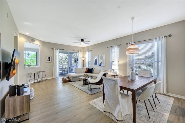 dining area with ceiling fan and light hardwood / wood-style flooring