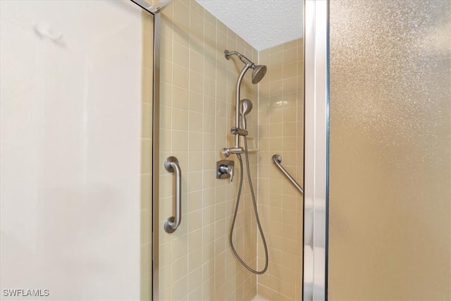 bathroom featuring a shower with shower door