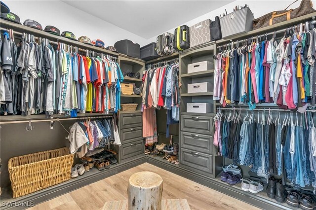 walk in closet featuring wood-type flooring