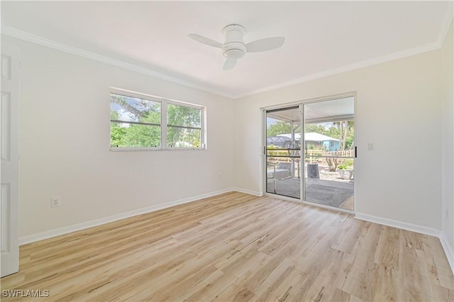 unfurnished room featuring crown molding, ceiling fan, and light wood-type flooring