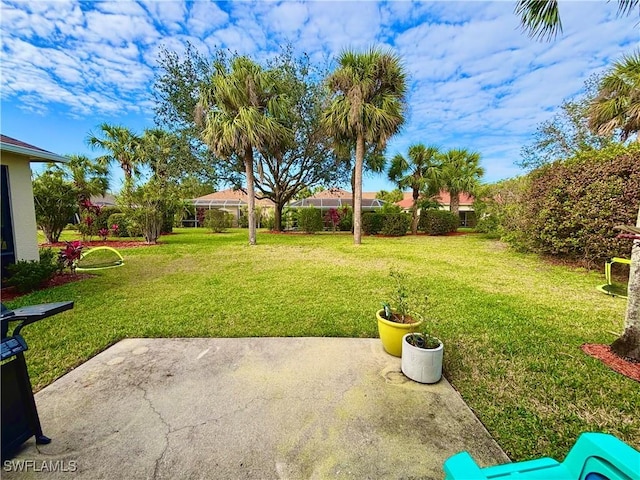 view of yard with a patio area