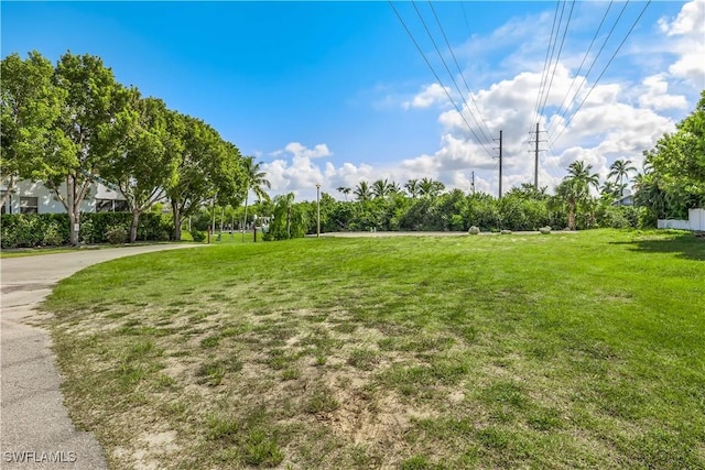 view of property's community with a yard