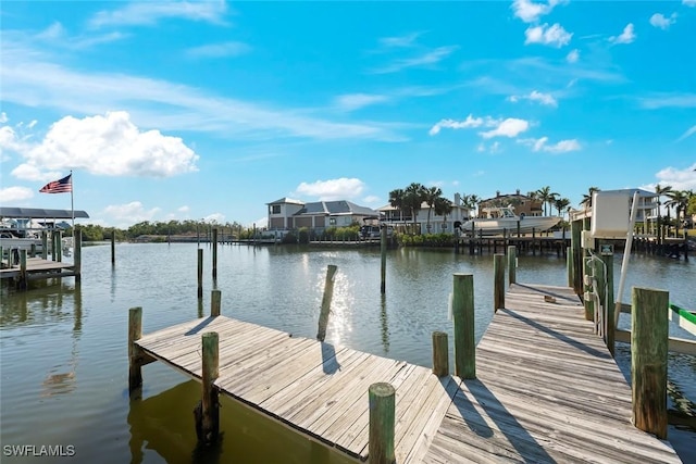 dock area with a water view