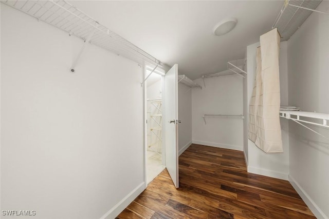 walk in closet with dark wood-type flooring