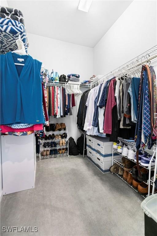 view of spacious closet