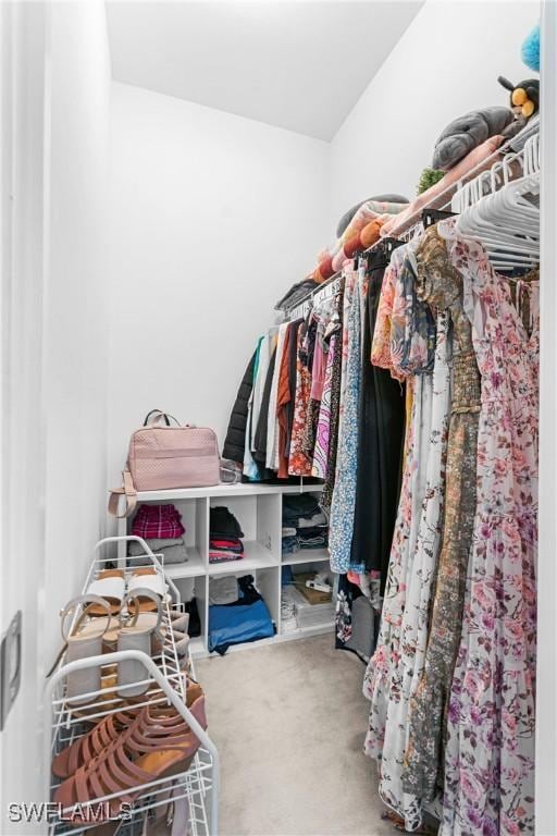 walk in closet featuring carpet floors