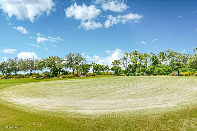 view of home's community with a lawn