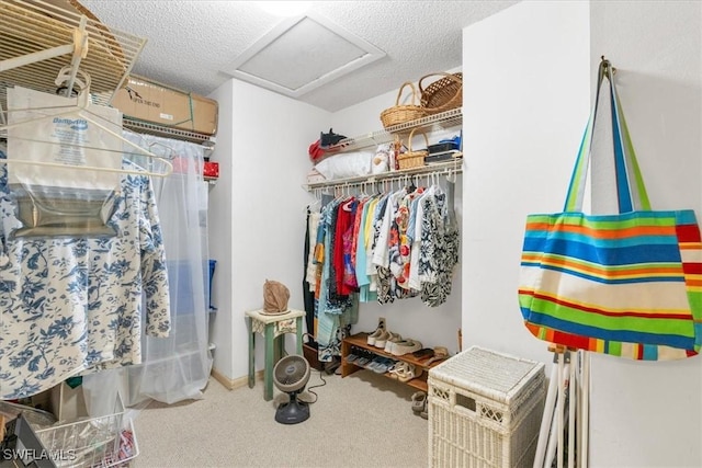 spacious closet with carpet