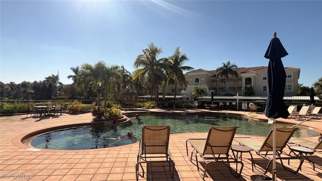 view of pool featuring a patio