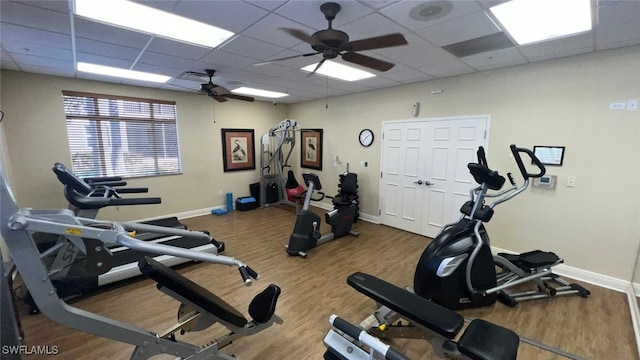 workout area with hardwood / wood-style floors, a paneled ceiling, and ceiling fan