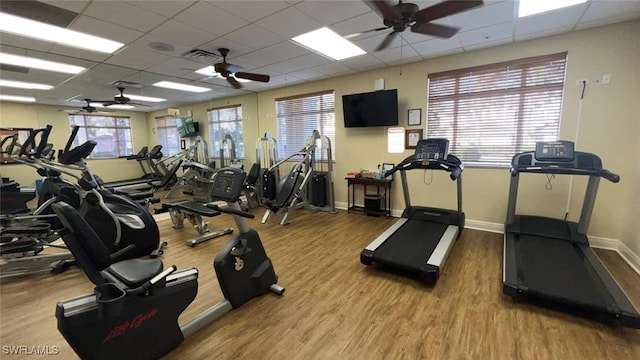 gym with hardwood / wood-style flooring, a paneled ceiling, and ceiling fan