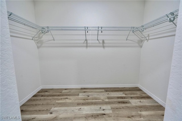 walk in closet featuring hardwood / wood-style flooring