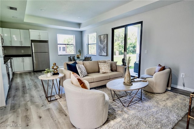 living room with light hardwood / wood-style flooring and a raised ceiling