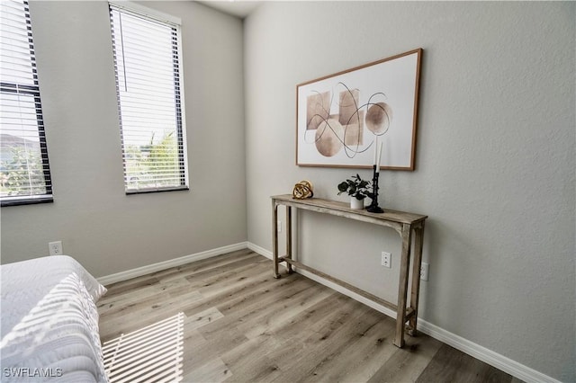 sitting room featuring light hardwood / wood-style flooring