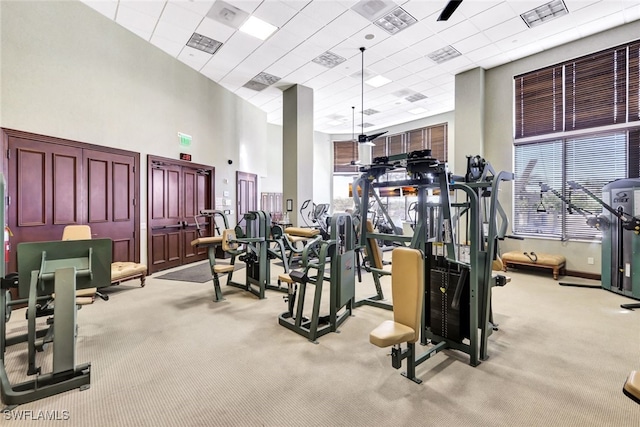 exercise room featuring a high ceiling, a paneled ceiling, and light carpet