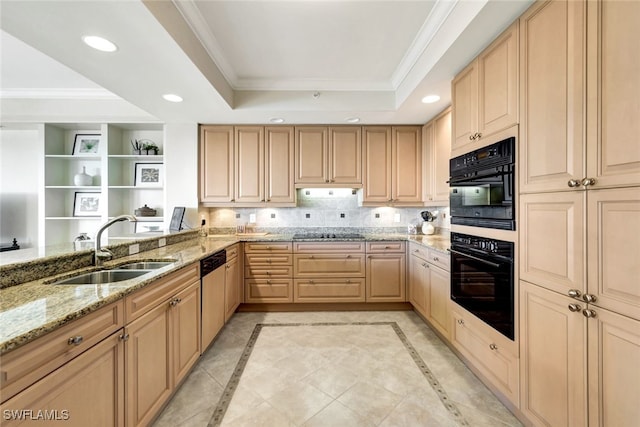 kitchen featuring sink, crown molding, a tray ceiling, light stone countertops, and light brown cabinets