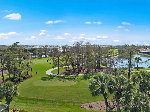 view of community featuring a water view and a yard