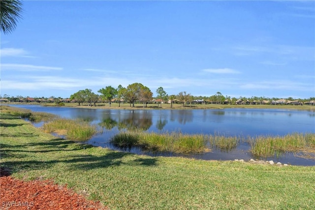 view of water feature