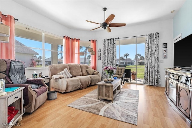 living room with ceiling fan and light hardwood / wood-style floors