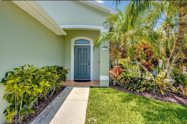 view of exterior entry with a yard