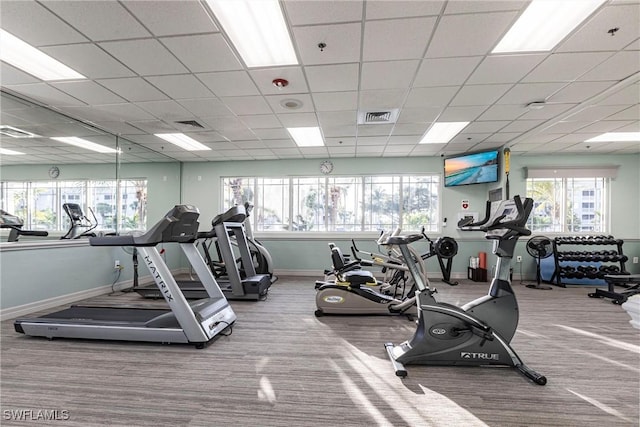 gym featuring a paneled ceiling and carpet flooring