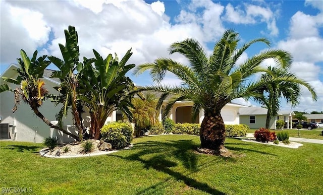 view of front of property with a front yard