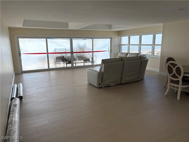 living room with hardwood / wood-style floors