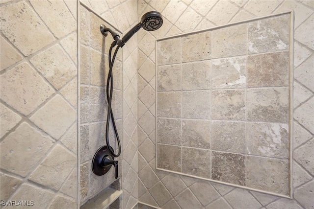 room details with tiled shower