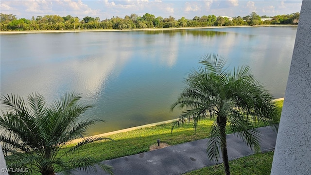 view of water feature