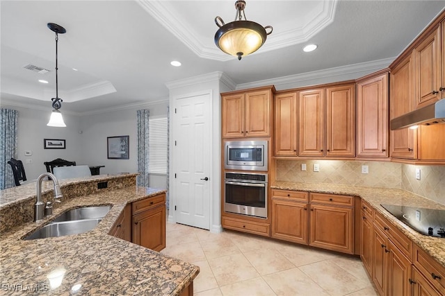 kitchen with sink, hanging light fixtures, light stone counters, a tray ceiling, and stainless steel appliances