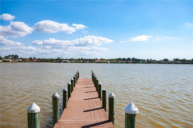 dock area with a water view