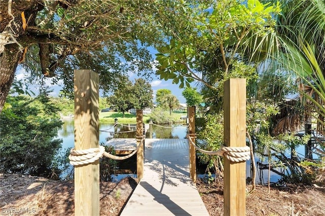 dock area with a water view